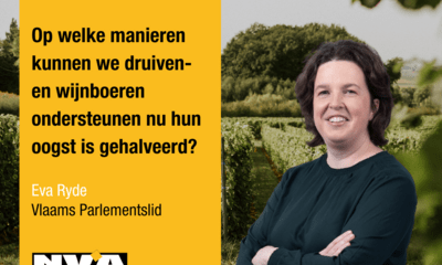 Eva Ryde wijnveld